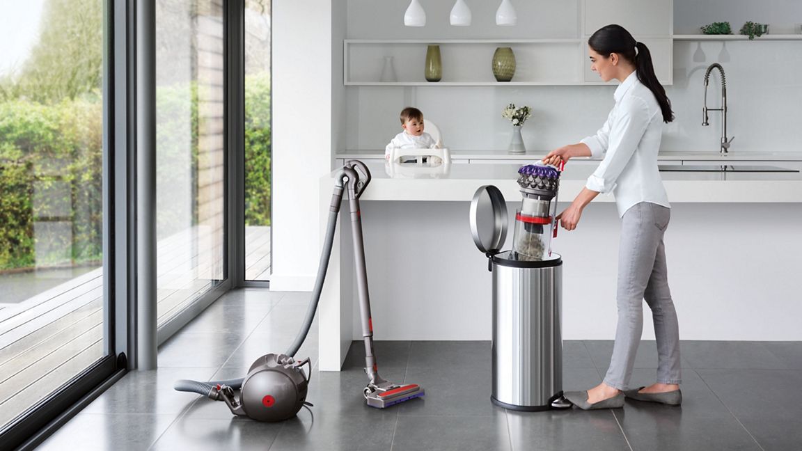 Dyson Big Ball Animal 2