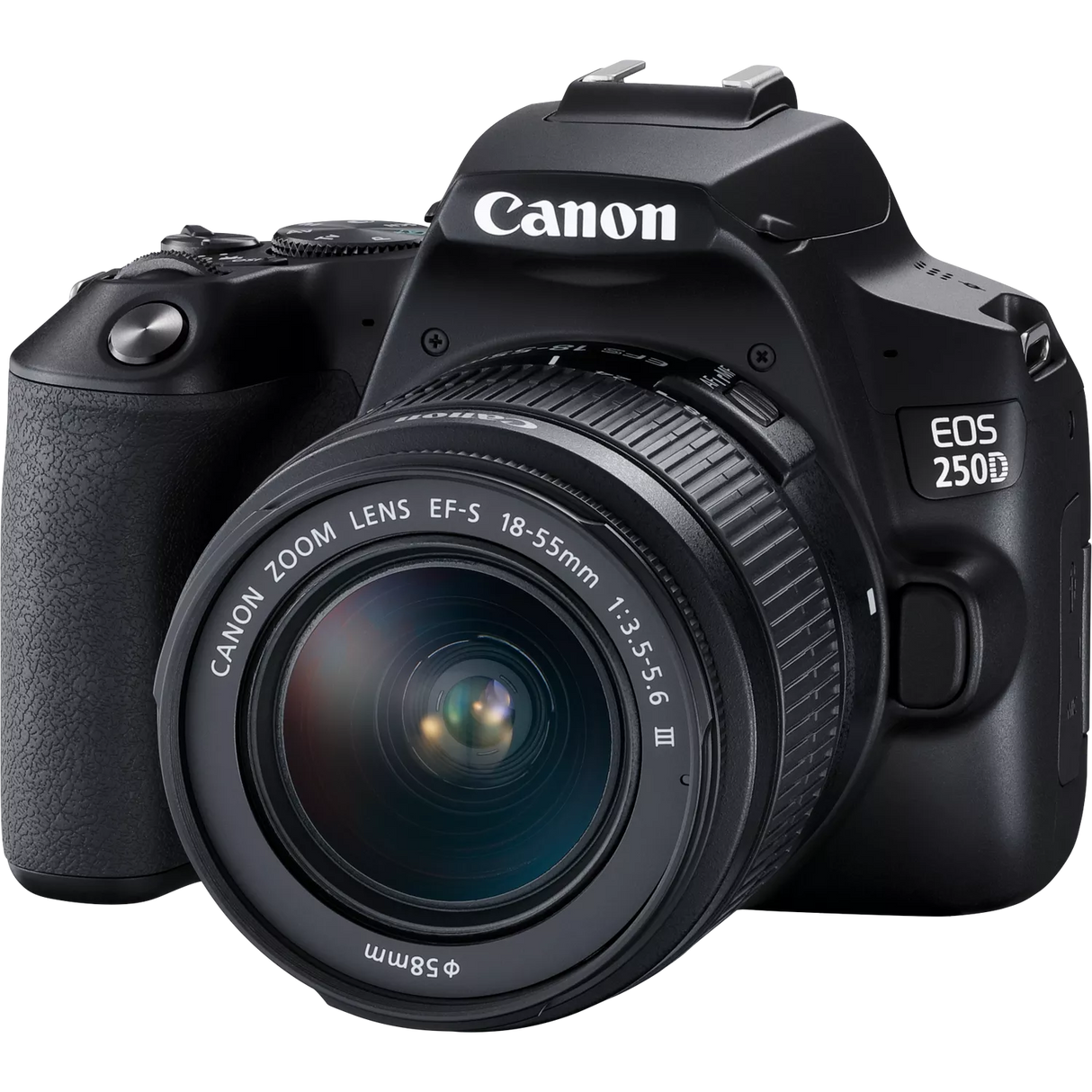 Canon EOS 250D, Black + EF-S 18-55mm f/3.5-5.6 III+ EF 75-300mm f/4-5.6 III Lens