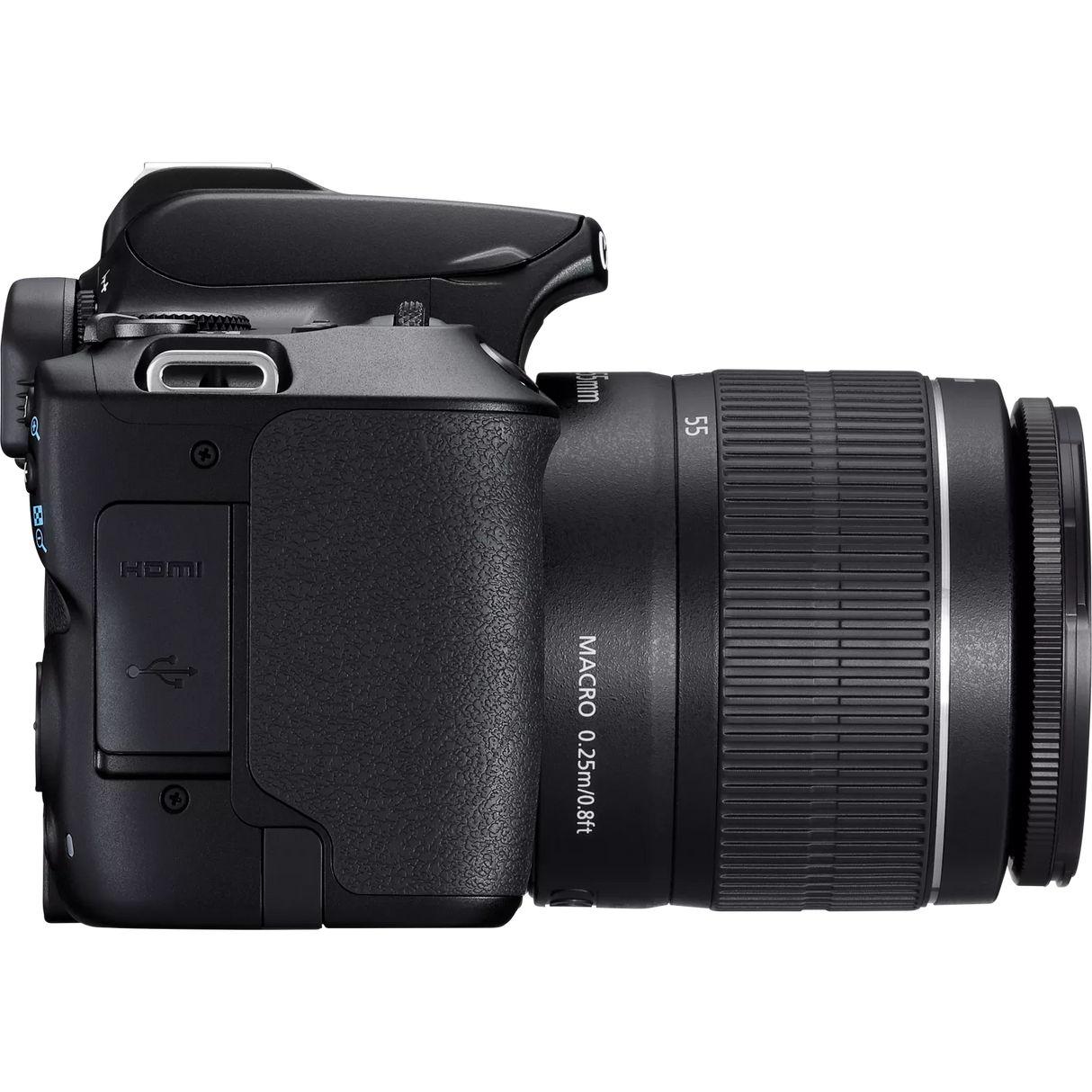 Canon EOS 250D, Black + EF-S 18-55mm f/3.5-5.6 III+ EF 75-300mm f/4-5.6 III Lens