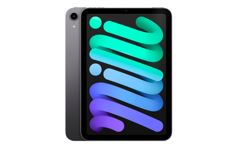Space Gray iPad mini 6 showing front screen with colorful dynamic wallpaper