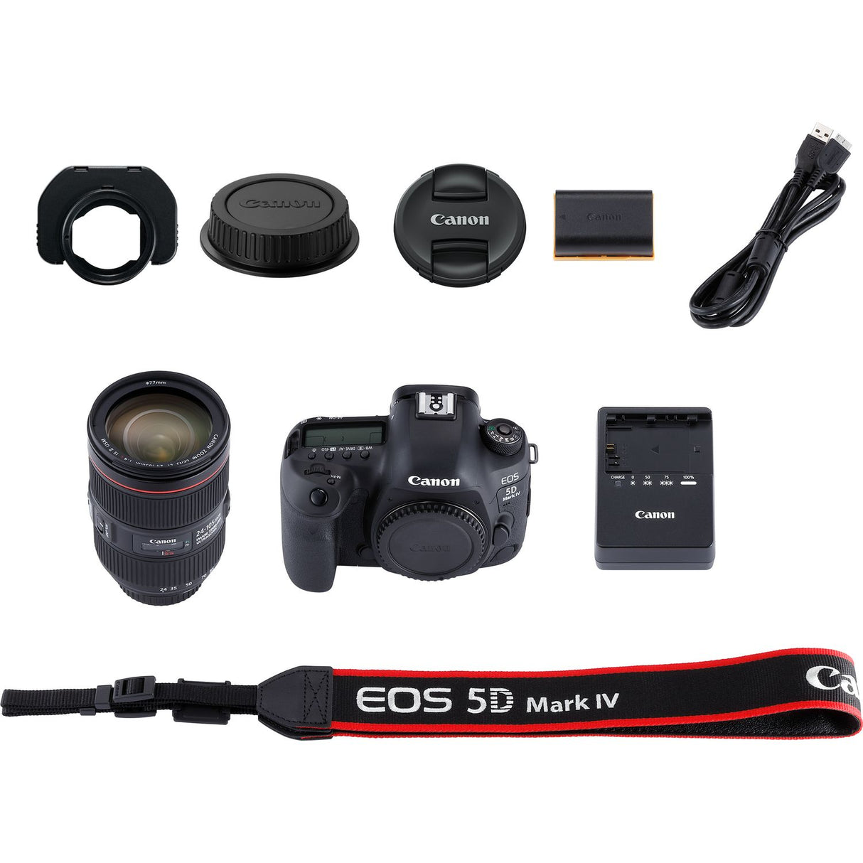 Canon EOS 5D Mark IV with EF 24-105mm IS II USM Lens