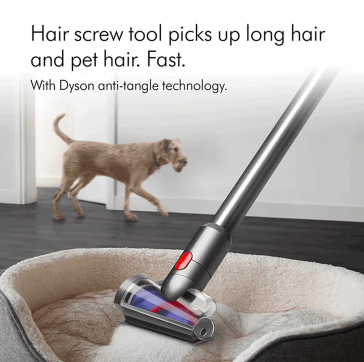 Dyson V12 Detect™ Slim Absolute vacuum