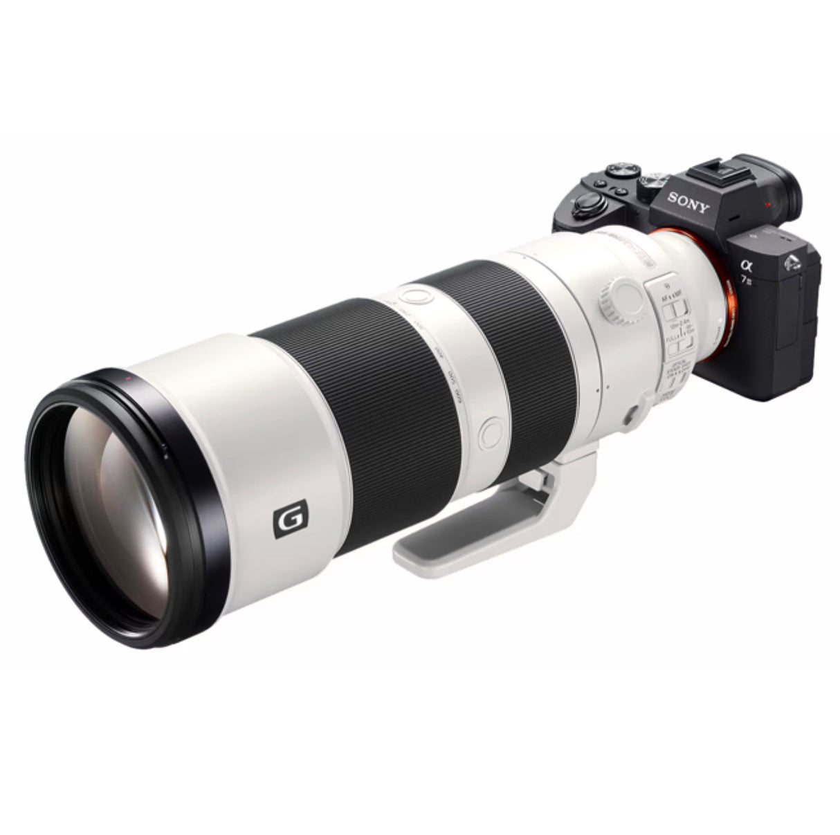Sony FE 200-600mm F5.6-6.3 G OSS Lens
