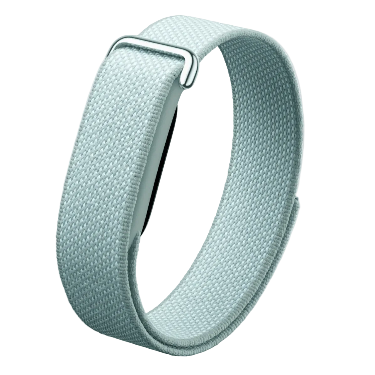 Google Fitbit Air