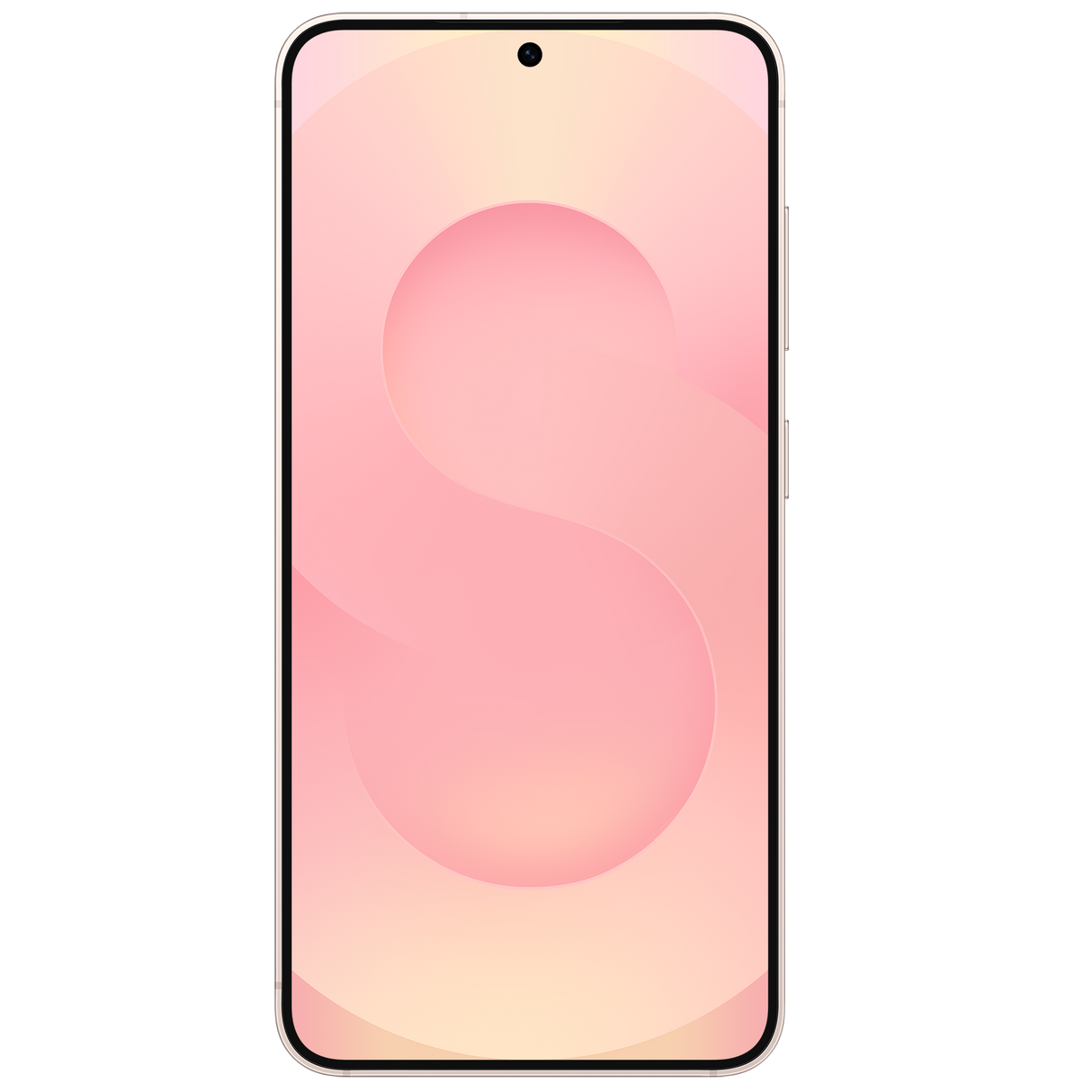 Samsung Galaxy S25 TDRA