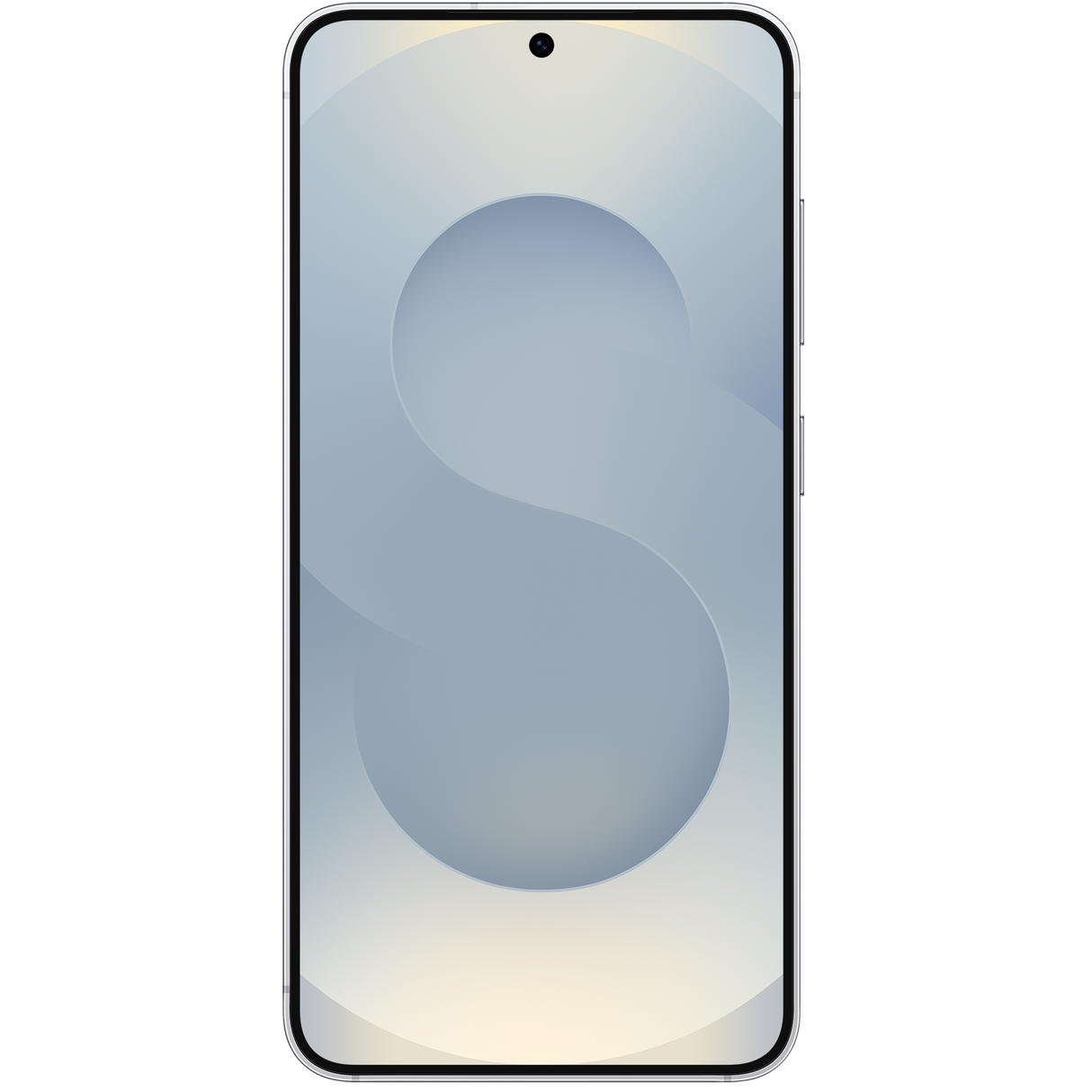 Samsung Galaxy S25 TDRA