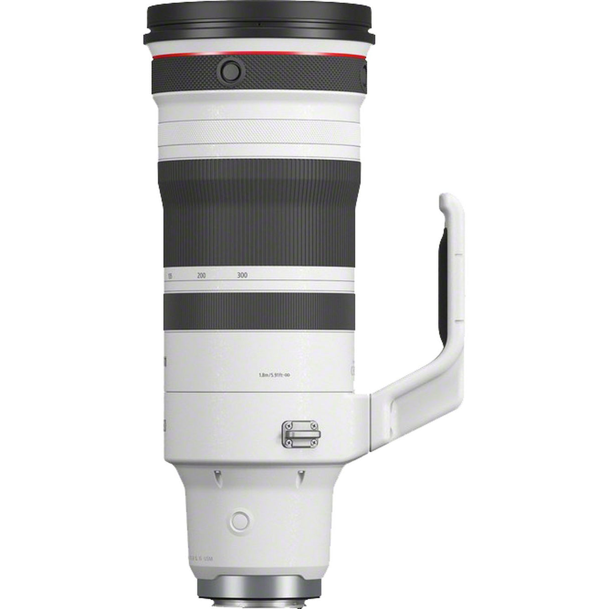 Canon RF 100-300mm F2.8L IS USM Lens