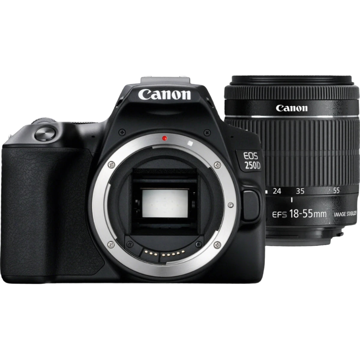 Canon EOS 250D Camera with EF-S 18-55mm f/4-5.6 IS STM Lens