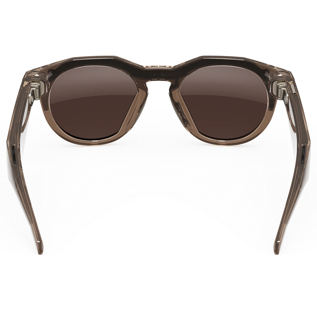 Oakley Meta HSTN Ai Glasses in Brown Smoke / Prizm Deep Water Polarised, view 4