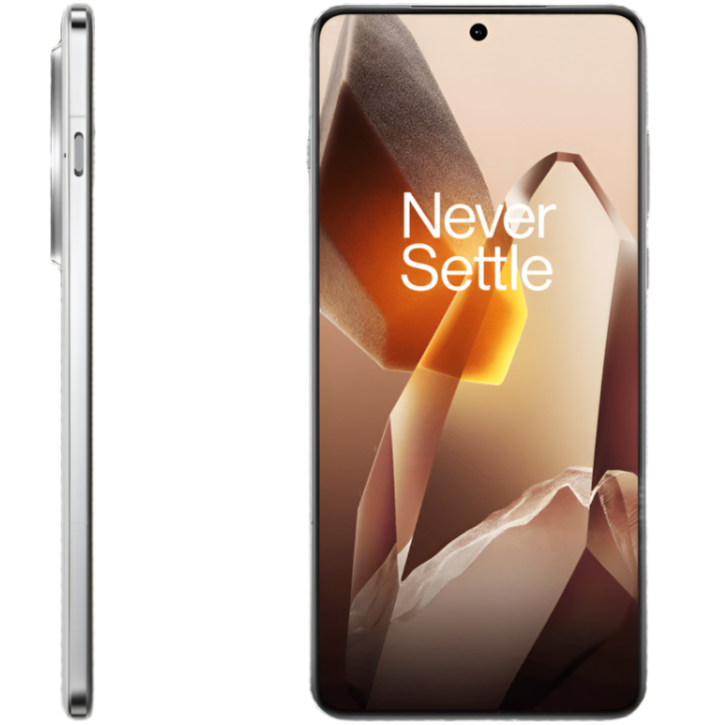 OnePlus 13 (China Global version)