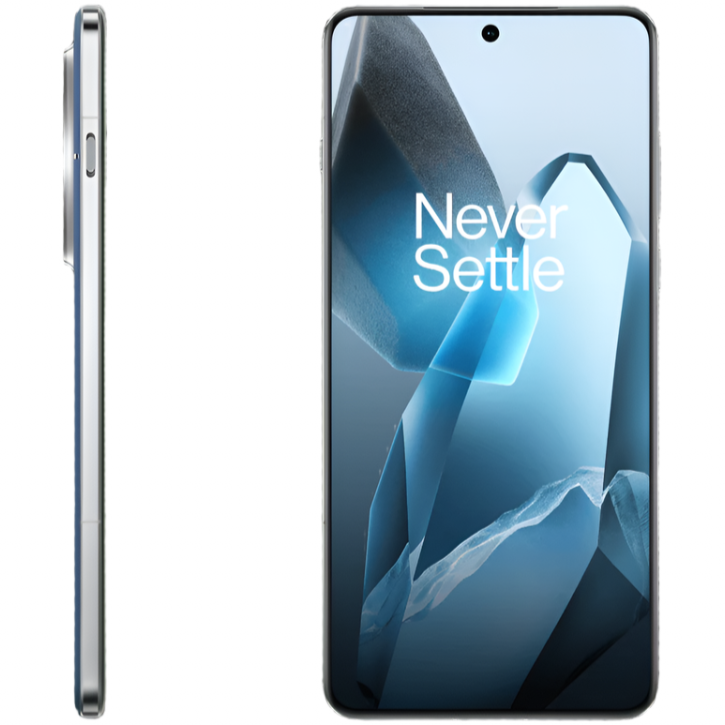 OnePlus 13 (China Global version)