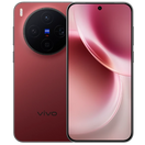 vivo X300