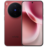 vivo X300