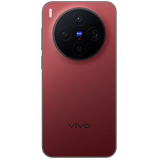 vivo X300