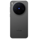 vivo X300