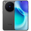 vivo X300