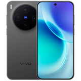 vivo X300