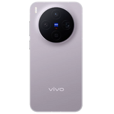 vivo X300