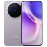 vivo X300