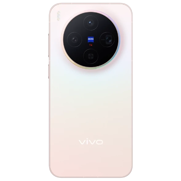 vivo X300