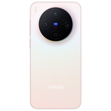 vivo X300