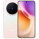 vivo X300