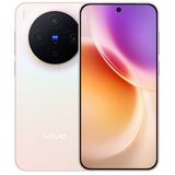 vivo X300