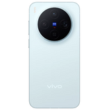 vivo X300