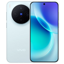 vivo X300