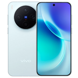 vivo X300