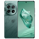 OnePlus 12 (China Global version)