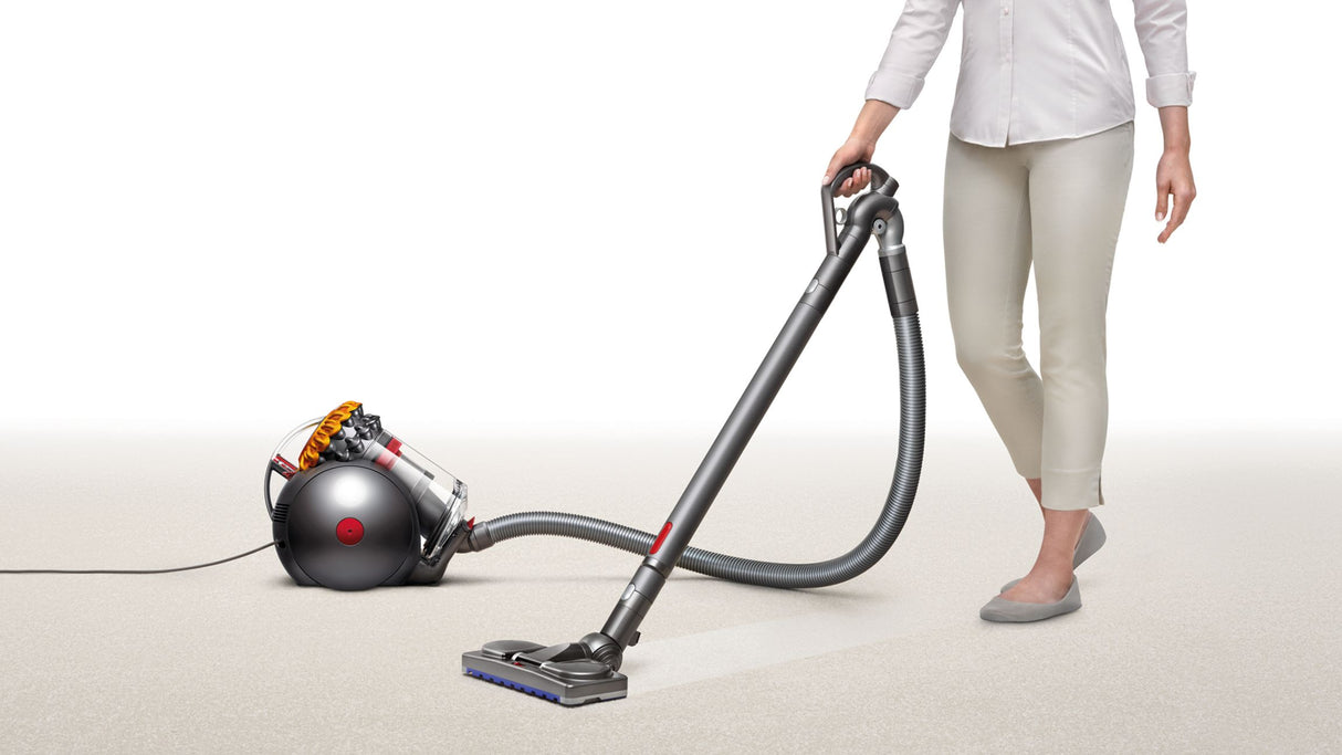 Dyson Big Ball™