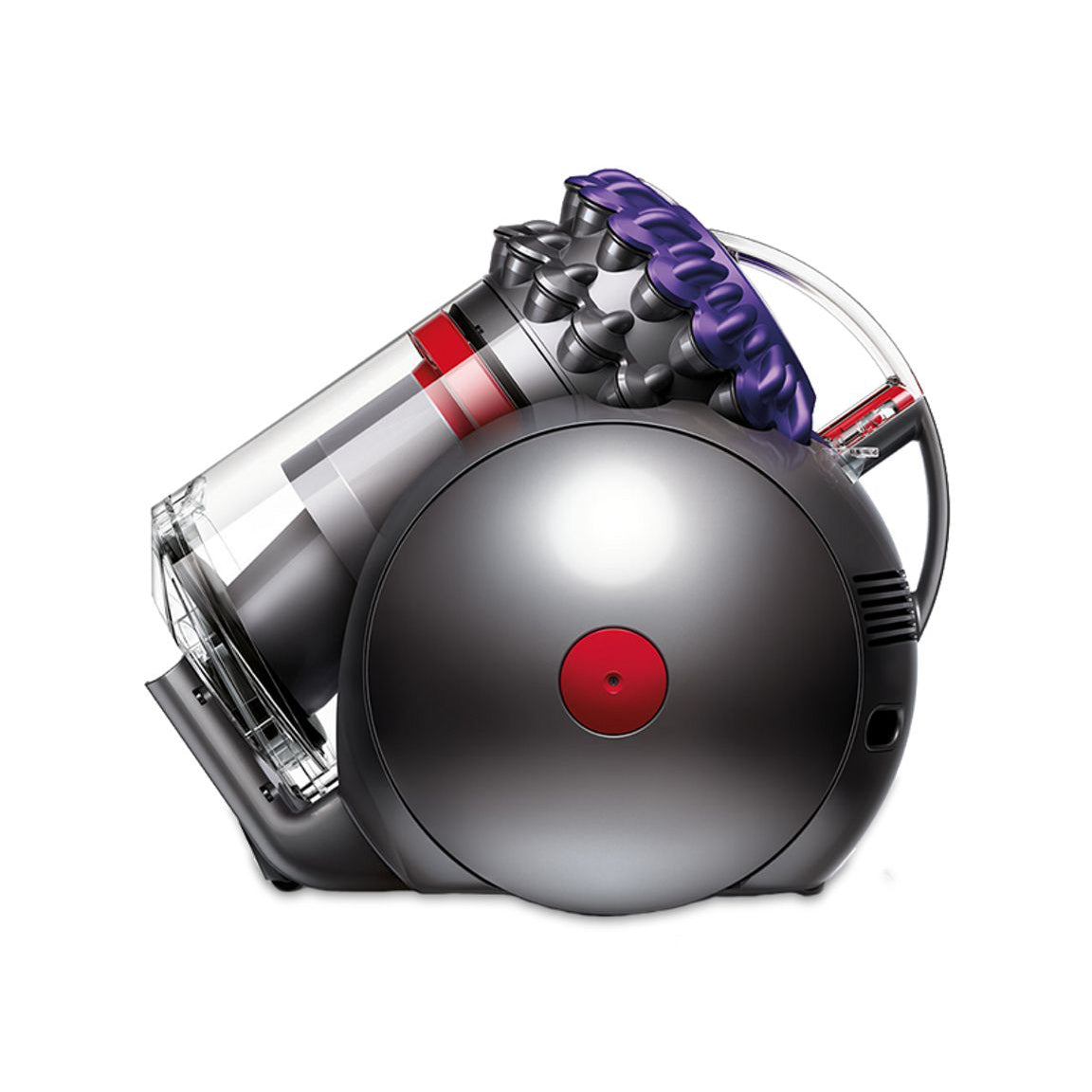 Dyson Big Ball Animal 2