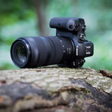 Canon RF 100-400mm F5.6-8 IS USM Lens