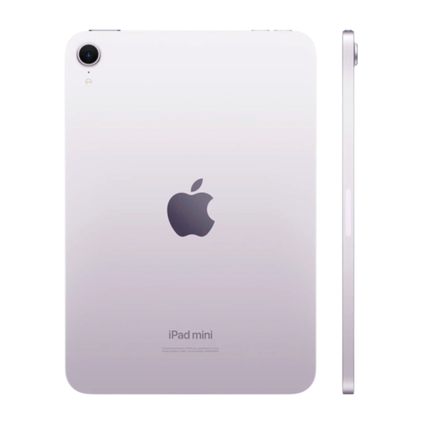 Purple iPad mini back view showcasing anodized finish