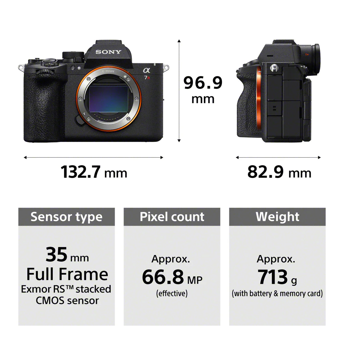 هيكل كاميرا Sony Alpha 7R IV الرقمية بدون مرآة