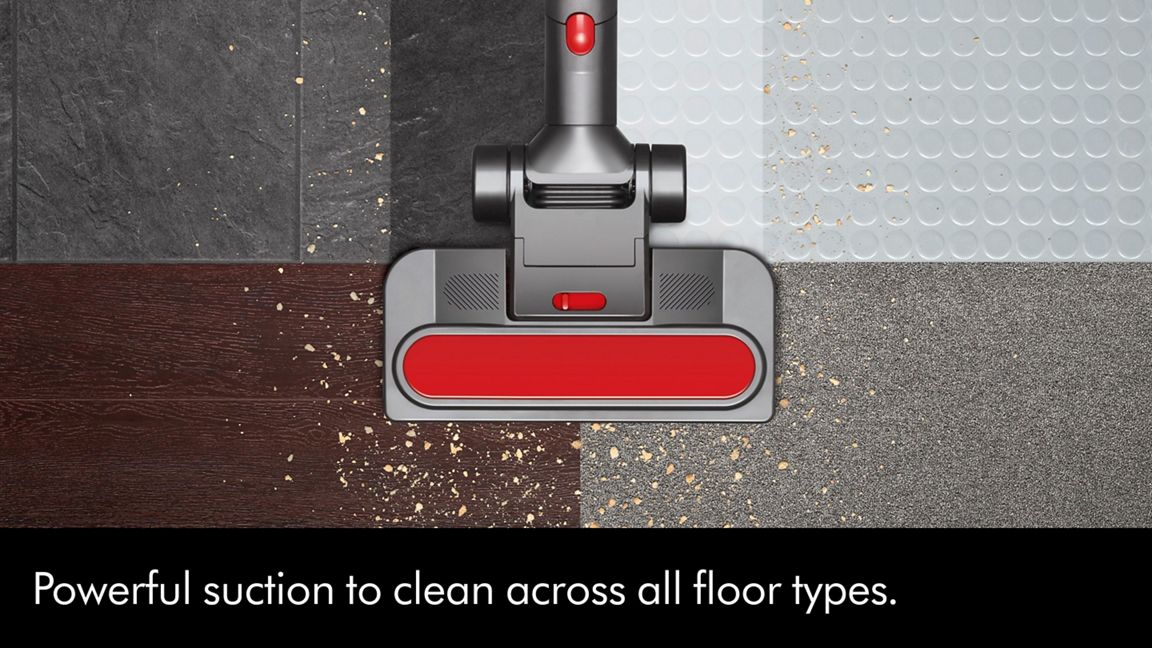 Dyson Big Ball Animal 2