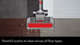 Dyson Big Ball Animal 2