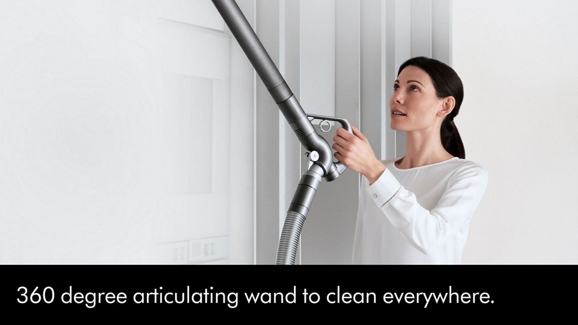 Dyson Big Ball Animal 2