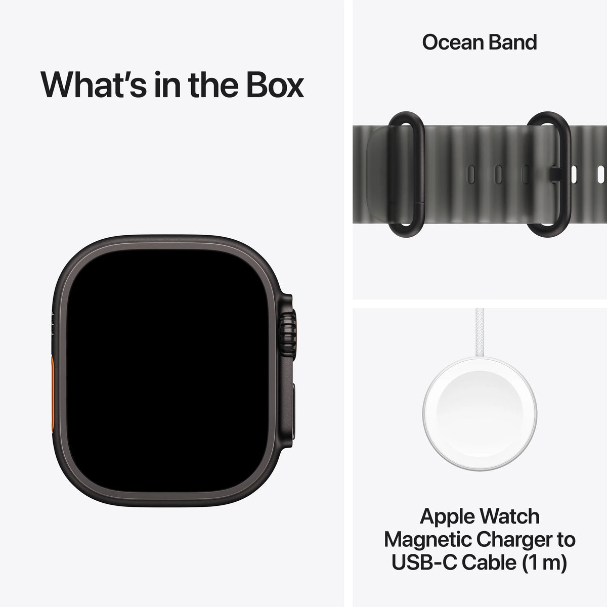 Apple Watch Ultra 4 Ocean Band