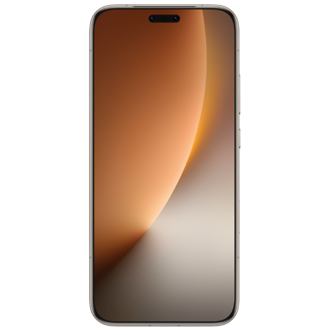 Honor Magic8 Pro (Chinese version)