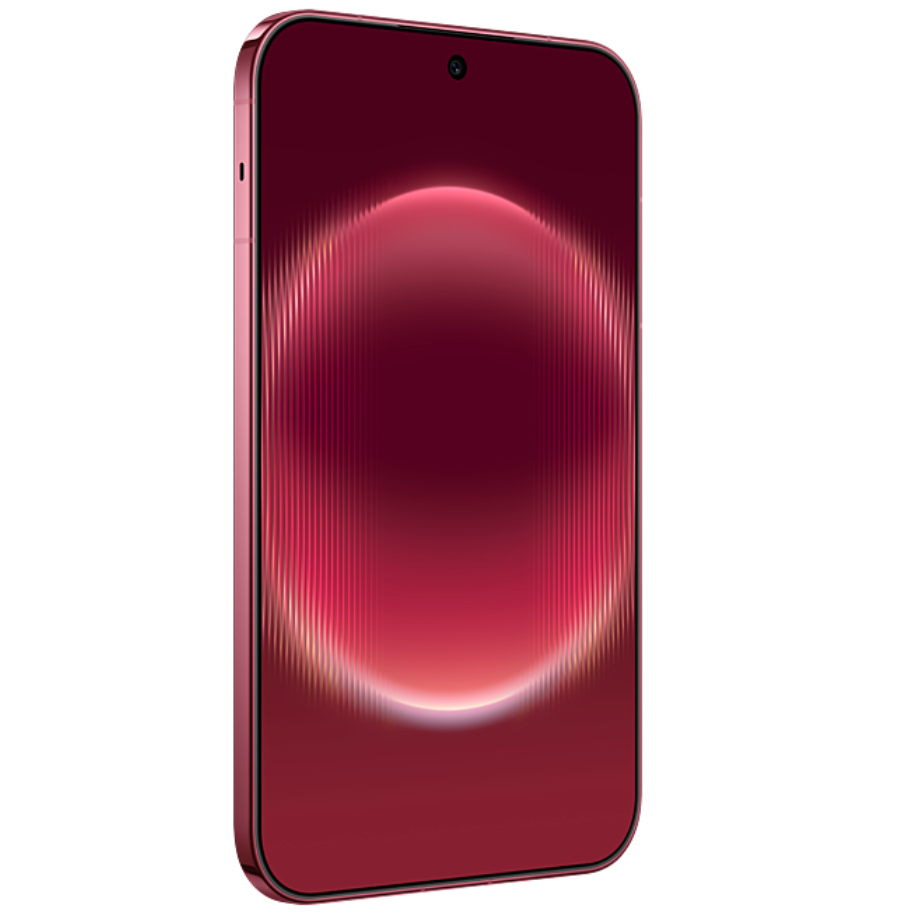 Huawei Pura X View