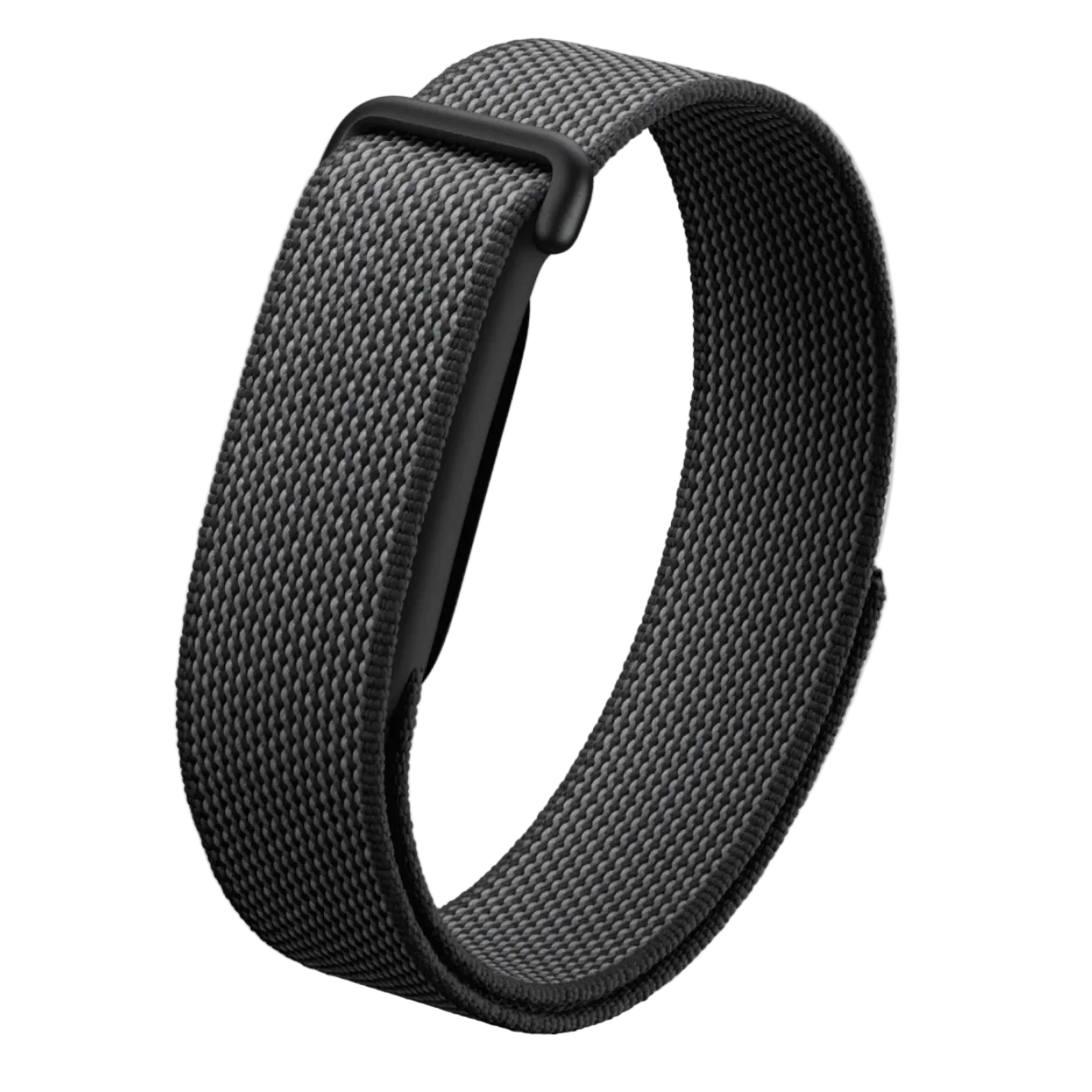 Google Fitbit Air