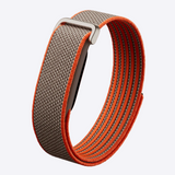 Google Fitbit Air