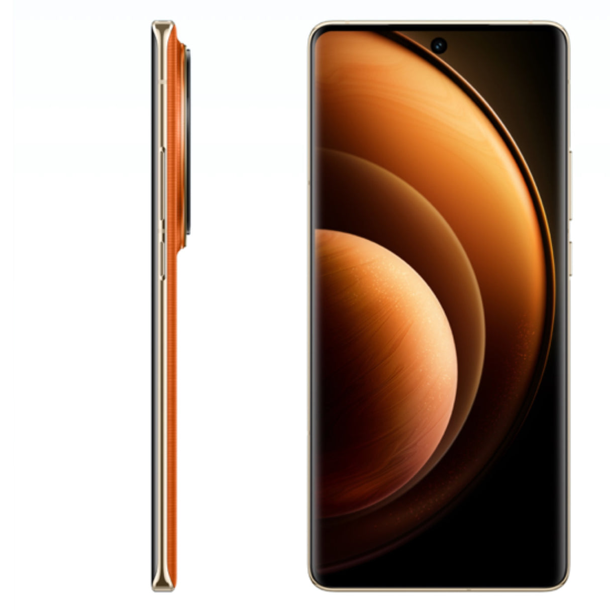 vivo X100 Pro (China Global version)
