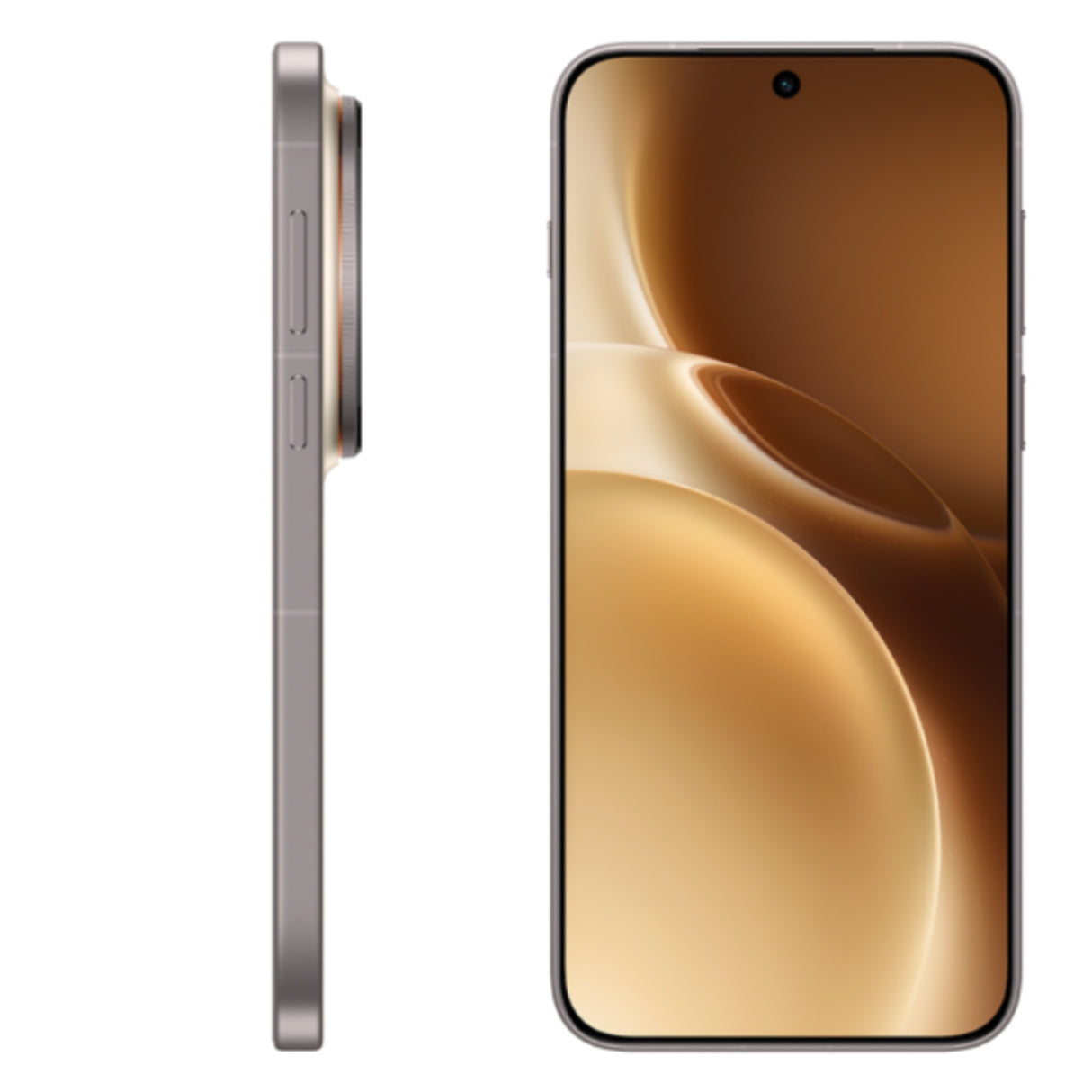 vivo X300 Pro