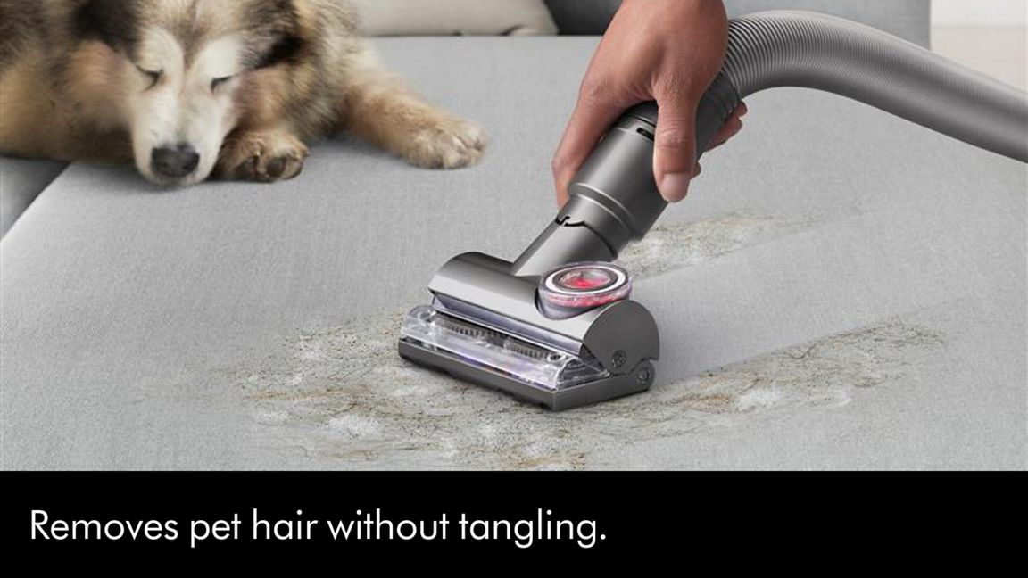 Dyson Ball™ Animal Multi-floor