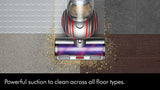 Dyson Ball™ Animal Multi-floor
