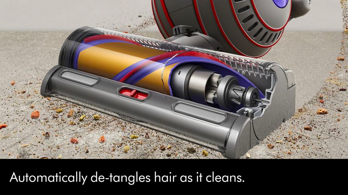 Dyson Ball™ Animal Multi-floor