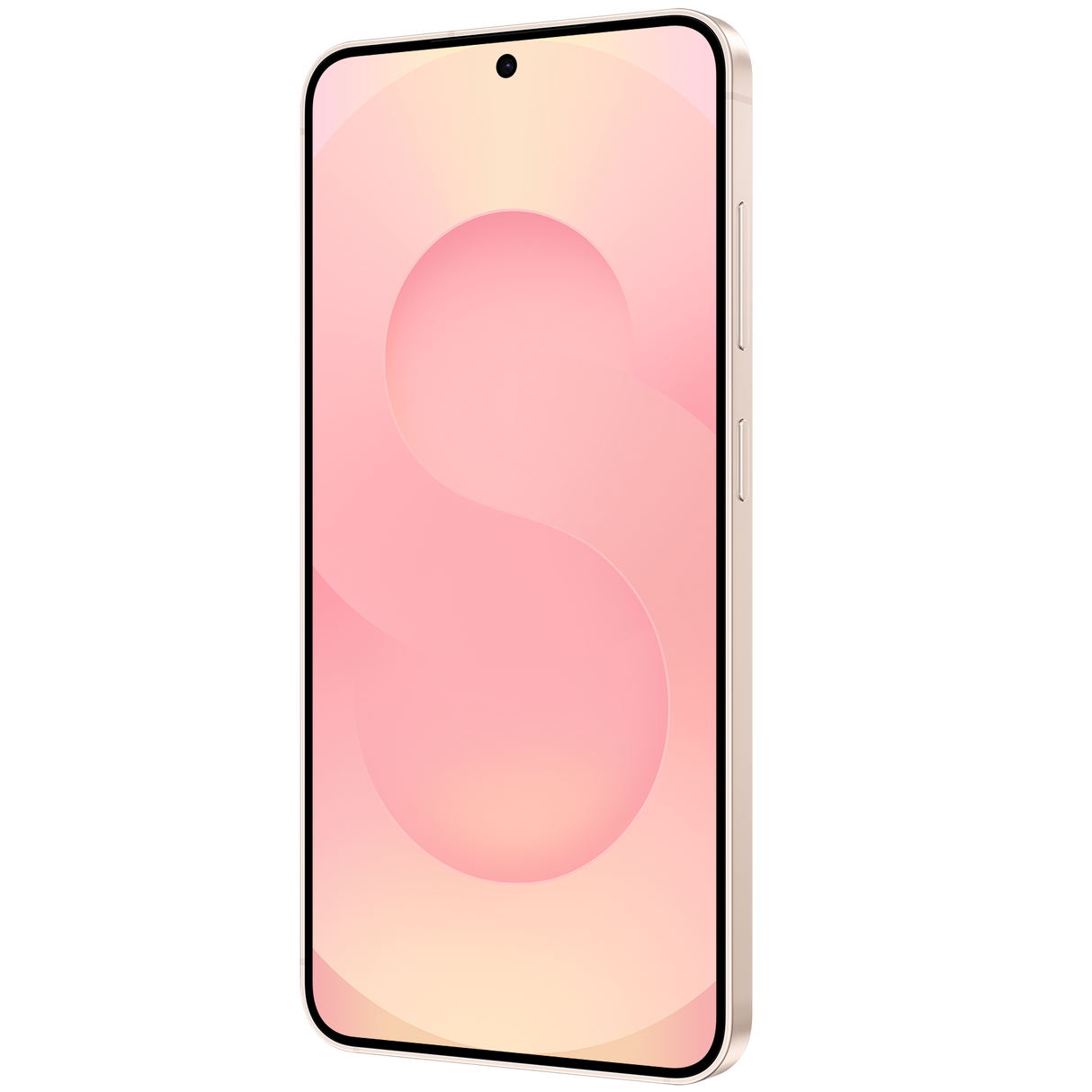 Samsung Galaxy S25 TDRA